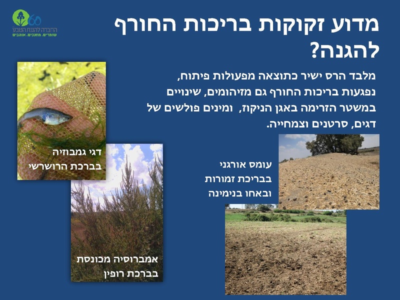 קובץ:Winterpoolsproject.pdf