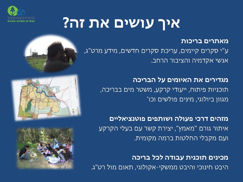 קובץ:Winterpoolsproject.pdf
