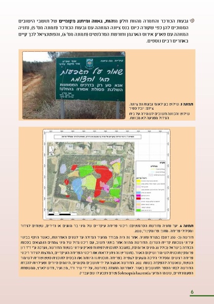 קובץ:KurkarBooklet.pdf