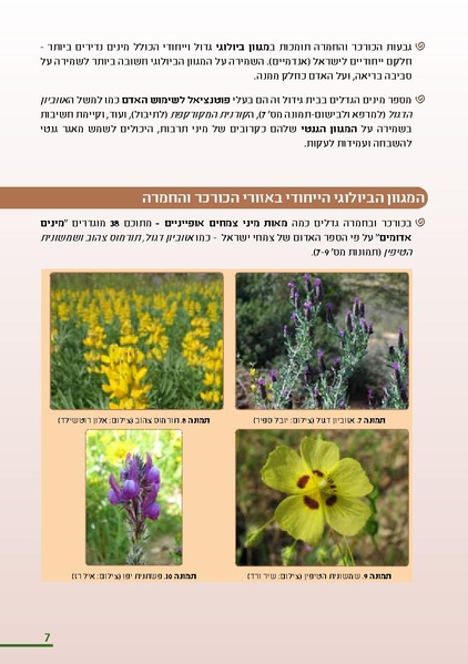 קובץ:KurkarBooklet.pdf