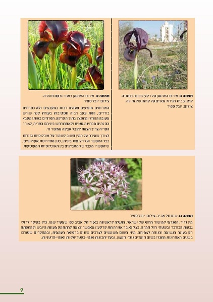 קובץ:KurkarBooklet.pdf