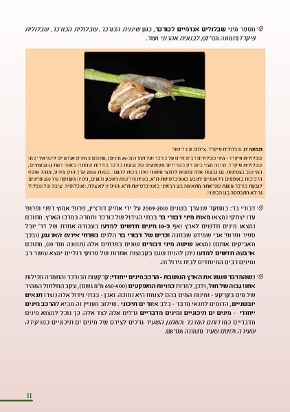 קובץ:KurkarBooklet.pdf