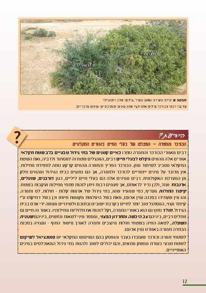 קובץ:KurkarBooklet.pdf