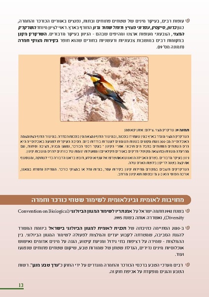 קובץ:KurkarBooklet.pdf