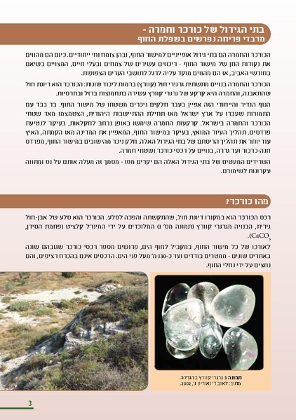 קובץ:KurkarBooklet.pdf