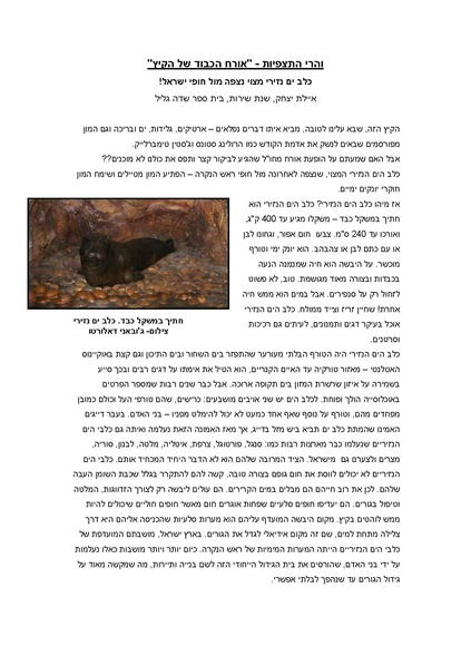 קובץ:TAZ(1).pdf