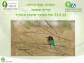 תמונה ממוזערת לגרסה מ־16:30, 30 במאי 2023