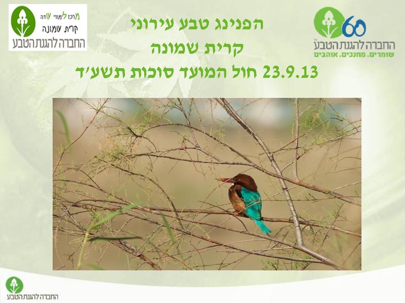 קובץ:Tevaironikiryatshmone.pdf
