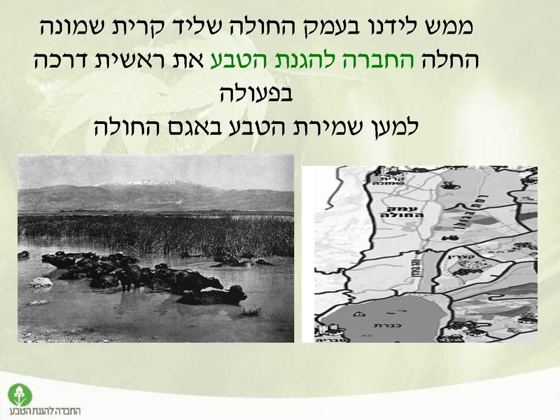 קובץ:Tevaironikiryatshmone.pdf