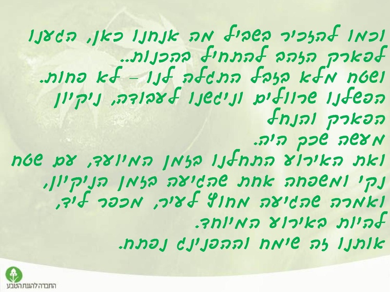 קובץ:Tevaironikiryatshmone.pdf