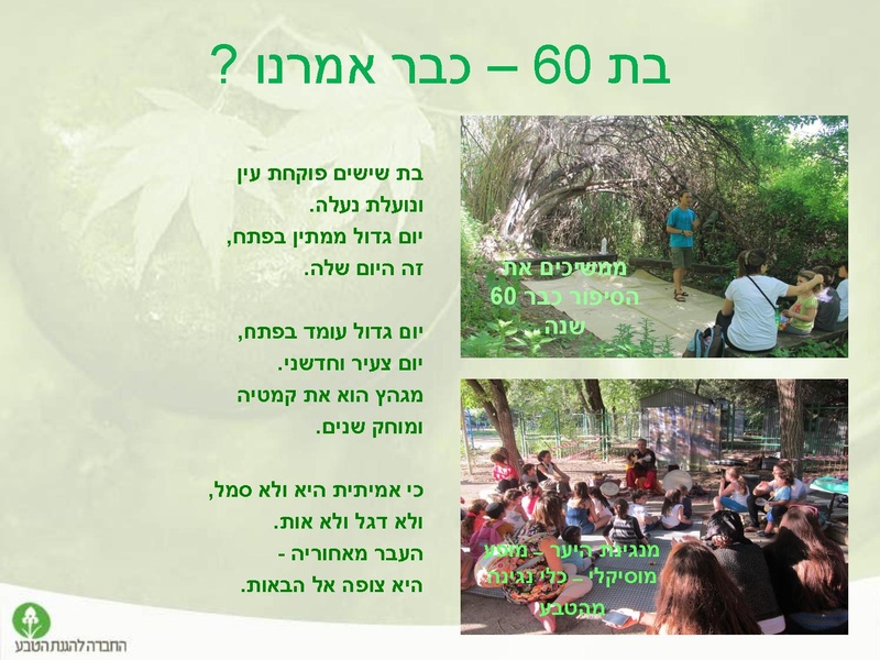 קובץ:Tevaironikiryatshmone.pdf
