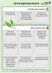 → לדף הקודם