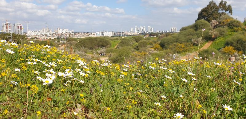 קובץ:רקע שמירת טבע.jpg