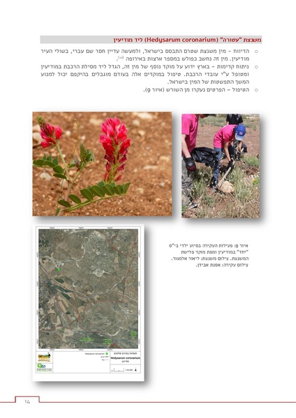 קובץ:Invasive response.pdf