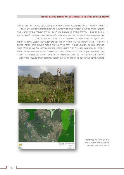 קובץ:Invasive response.pdf