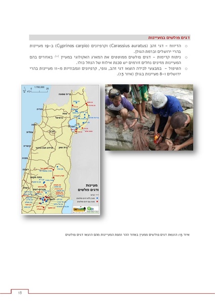 קובץ:Invasive response.pdf