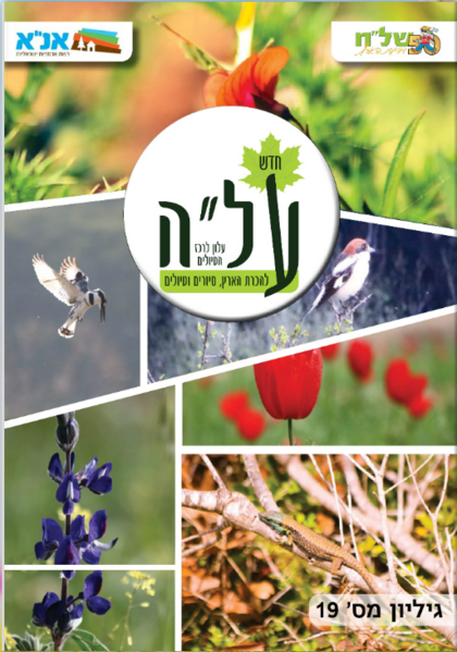 קובץ:עלה ניסן תשפה אפריל 2025.png