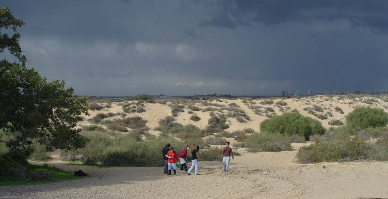 קובץ:Holot nizanim avishay shlomo.jpg