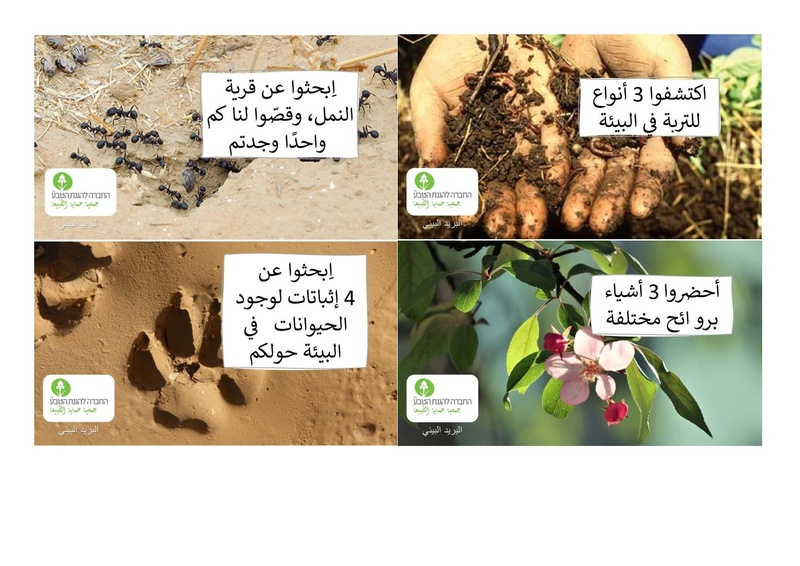 קובץ:بريد بيئي.pdf