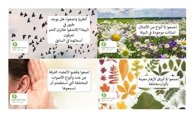 קובץ:بريد بيئي.pdf