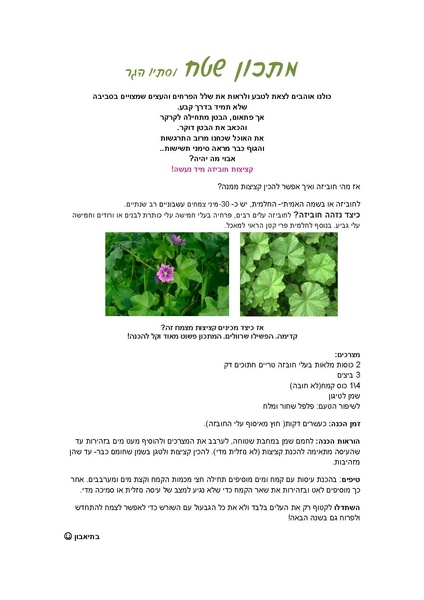 קובץ:Hubeza.pdf