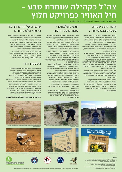 קובץ:Zahal.pdf