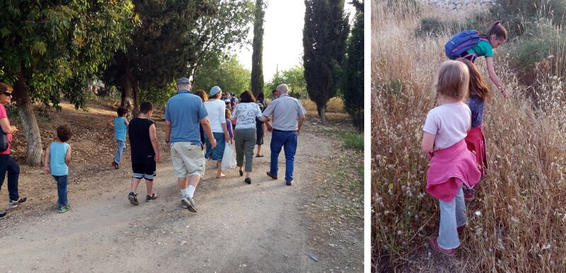 קובץ:Gimlaim&zofim broshim.jpg