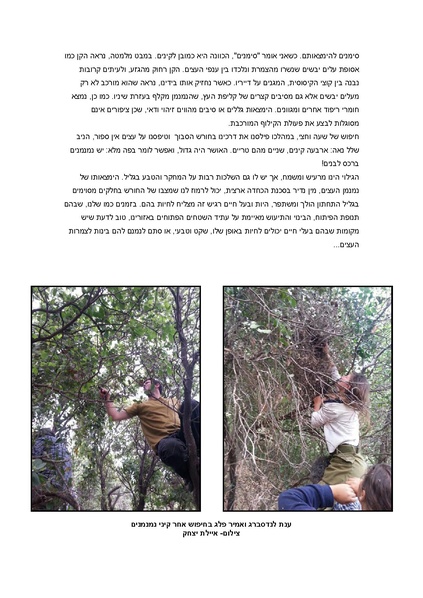 קובץ:7.pdf