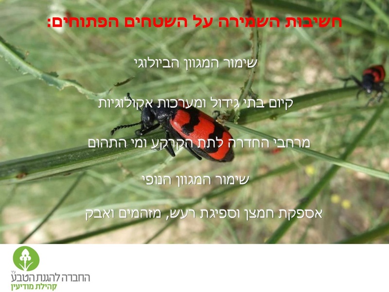 קובץ:Vaadat EichutSviva.pdf