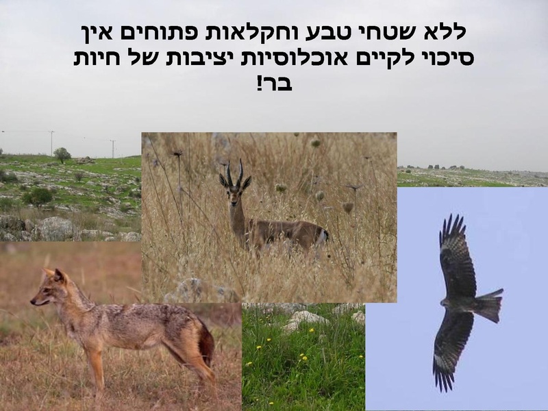 קובץ:Vaadat EichutSviva.pdf