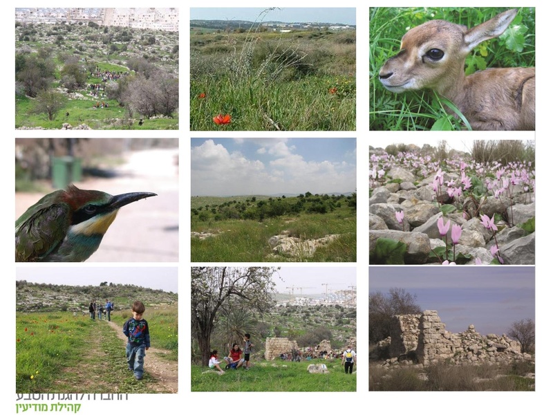 קובץ:Vaadat EichutSviva.pdf