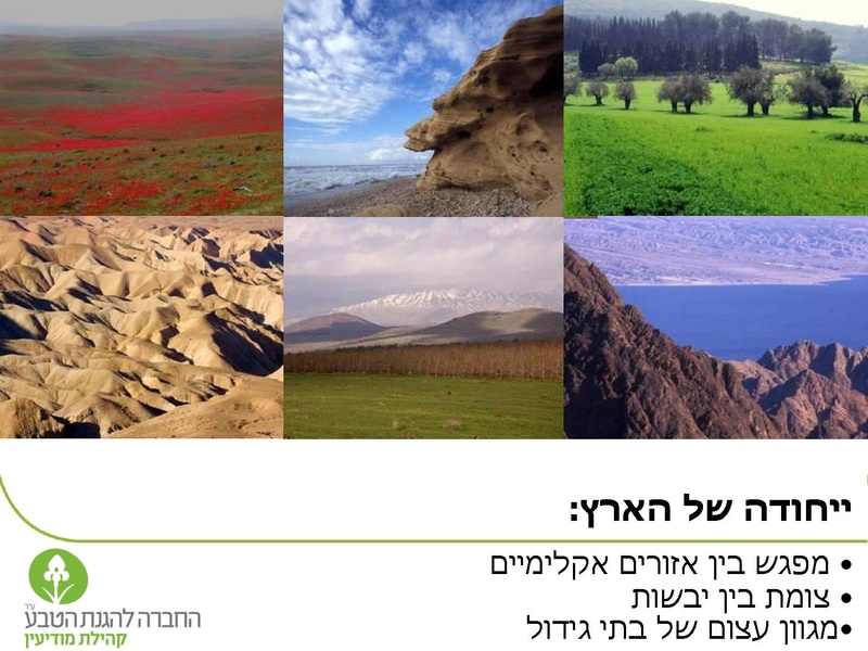 קובץ:Vaadat EichutSviva.pdf