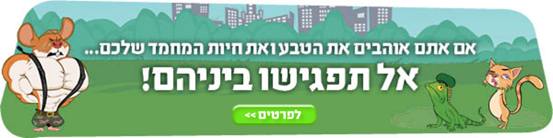 קובץ:Pol.png