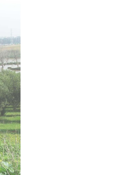 קובץ:ThreatBook 2011.pdf