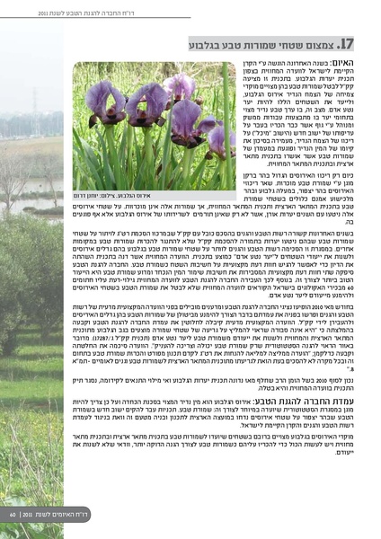 קובץ:ThreatBook 2011.pdf