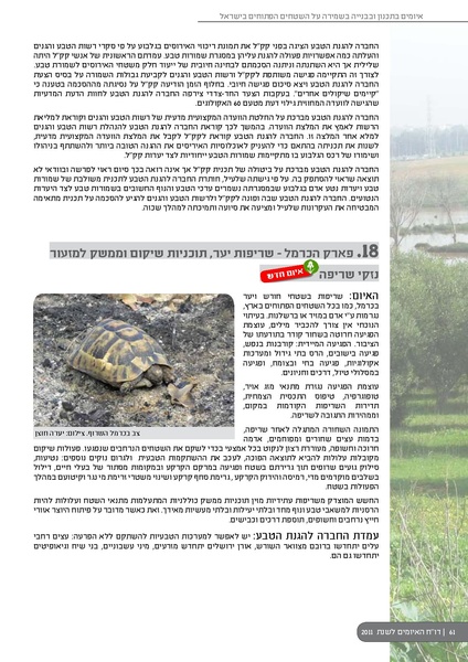 קובץ:ThreatBook 2011.pdf