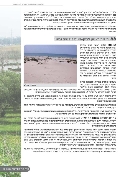 קובץ:ThreatBook 2011.pdf