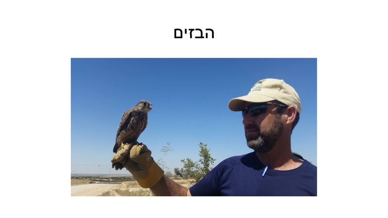 קובץ:B(3).pdf