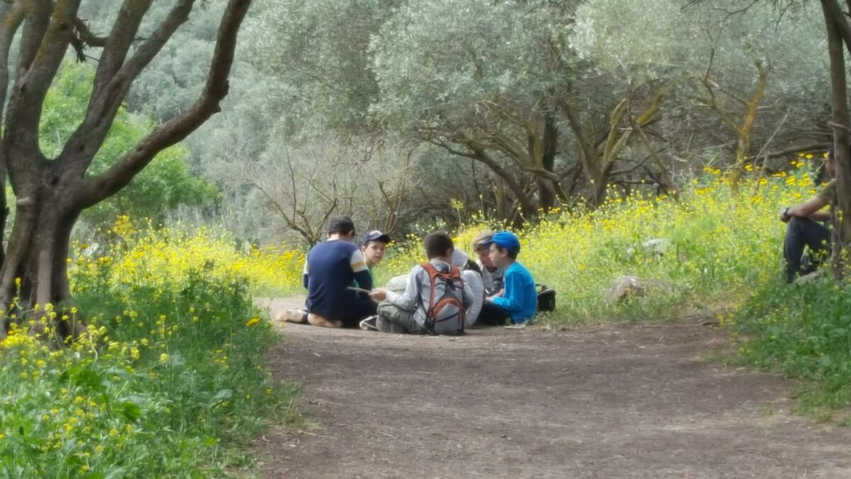 תמונת רקע לדף ל"ג בעומר בהיבט סביבתי