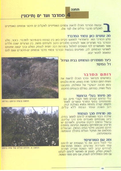 קובץ:1.pdf
