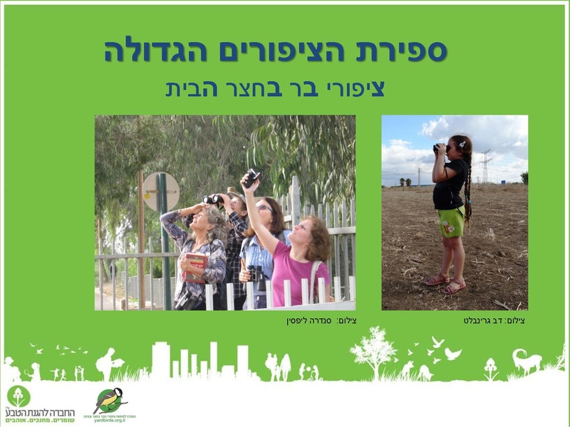 קובץ:Birdscount2018.pdf
