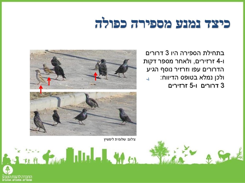קובץ:Birdscount2018.pdf