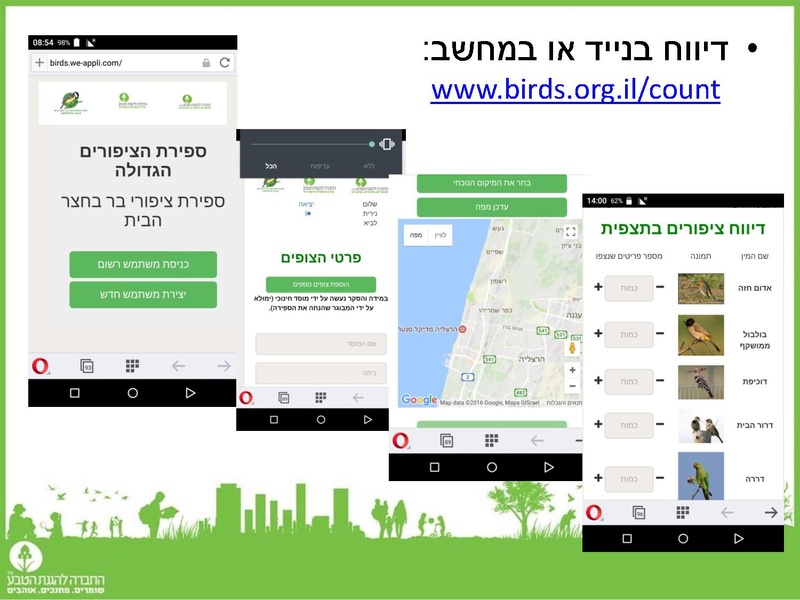 קובץ:Birdscount2018.pdf