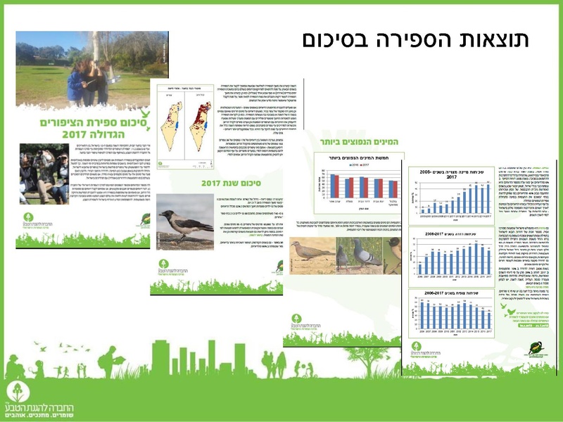 קובץ:Birdscount2018.pdf