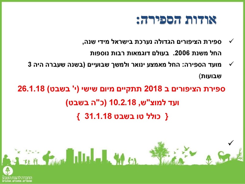 קובץ:Birdscount2018.pdf