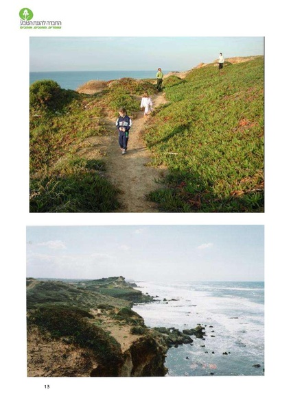 קובץ:Noar(1).pdf