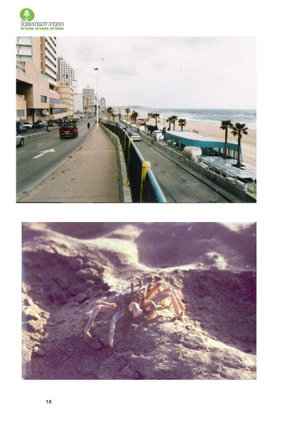 קובץ:Noar(1).pdf