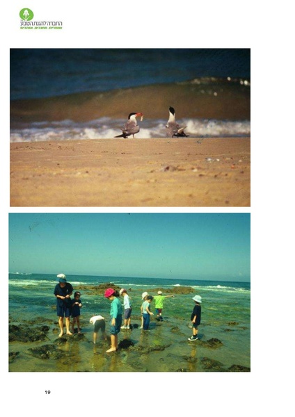 קובץ:Noar(1).pdf