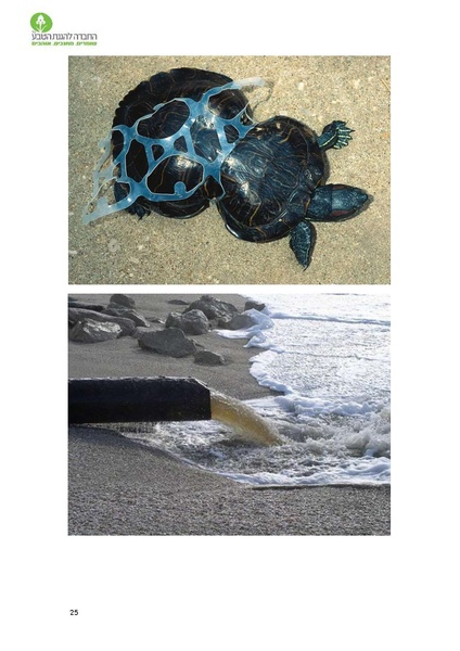 קובץ:Noar(1).pdf