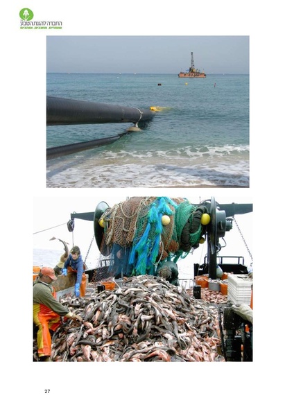 קובץ:Noar(1).pdf